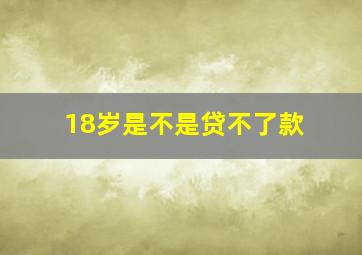 18岁是不是贷不了款