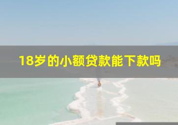 18岁的小额贷款能下款吗