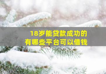 18岁能贷款成功的有哪些平台可以借钱