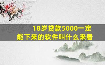 18岁贷款5000一定能下来的软件叫什么来着