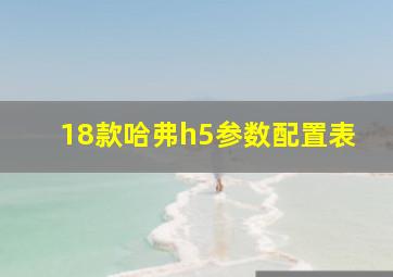 18款哈弗h5参数配置表