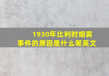 1930年比利时烟雾事件的原因是什么呢英文