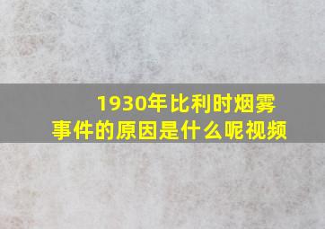 1930年比利时烟雾事件的原因是什么呢视频