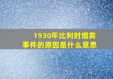 1930年比利时烟雾事件的原因是什么意思