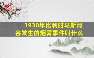 1930年比利时马斯河谷发生的烟雾事件叫什么