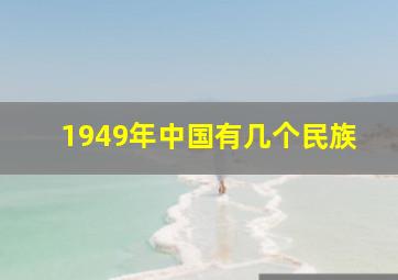 1949年中国有几个民族