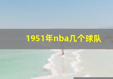 1951年nba几个球队