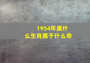 1954年属什么生肖属于什么命