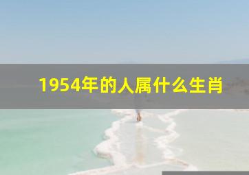 1954年的人属什么生肖