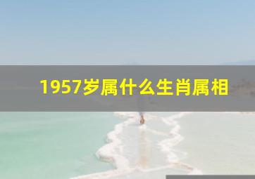 1957岁属什么生肖属相