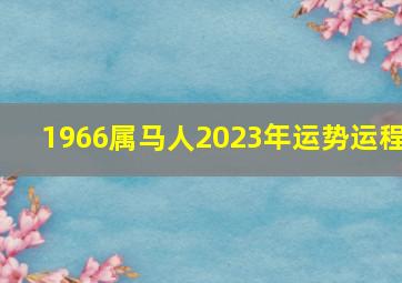 1966属马人2023年运势运程