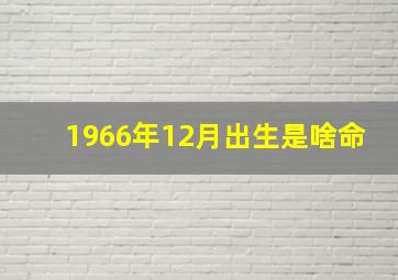 1966年12月出生是啥命