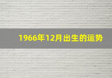 1966年12月出生的运势