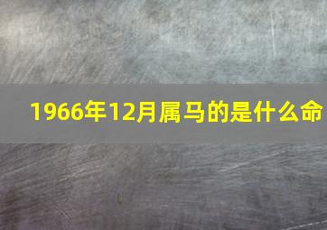 1966年12月属马的是什么命