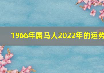 1966年属马人2022年的运势