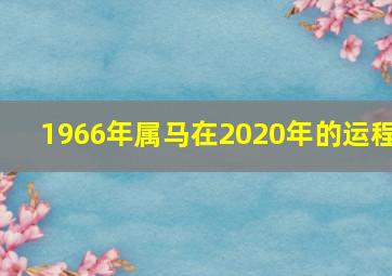 1966年属马在2020年的运程