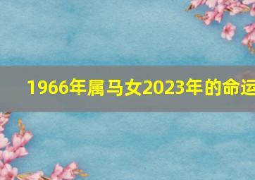 1966年属马女2023年的命运