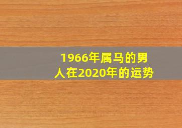 1966年属马的男人在2020年的运势