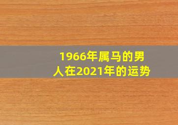 1966年属马的男人在2021年的运势