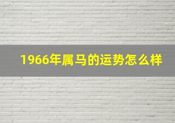 1966年属马的运势怎么样