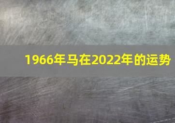 1966年马在2022年的运势