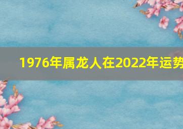 1976年属龙人在2022年运势