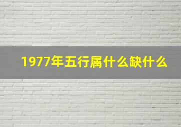 1977年五行属什么缺什么