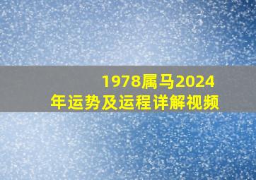 1978属马2024年运势及运程详解视频