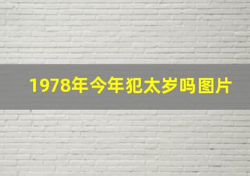 1978年今年犯太岁吗图片