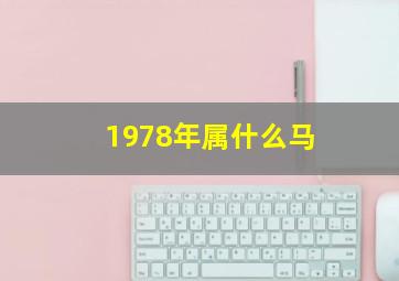 1978年属什么马