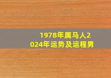 1978年属马人2024年运势及运程男