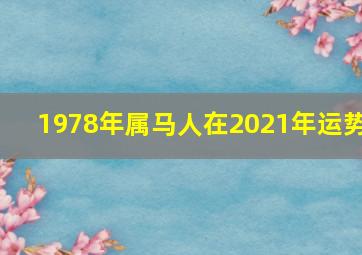 1978年属马人在2021年运势