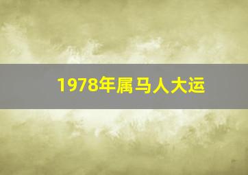 1978年属马人大运