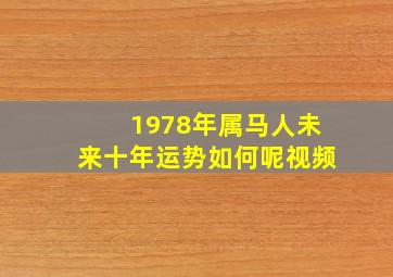 1978年属马人未来十年运势如何呢视频