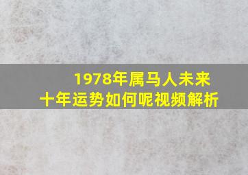 1978年属马人未来十年运势如何呢视频解析