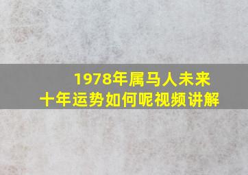 1978年属马人未来十年运势如何呢视频讲解