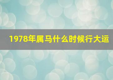 1978年属马什么时候行大运