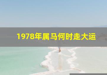 1978年属马何时走大运