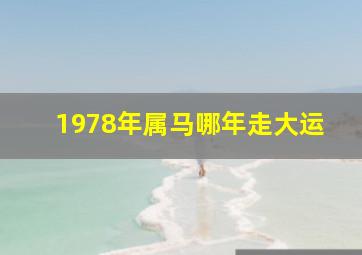 1978年属马哪年走大运