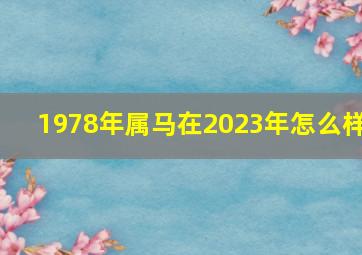 1978年属马在2023年怎么样