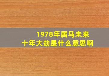 1978年属马未来十年大劫是什么意思啊