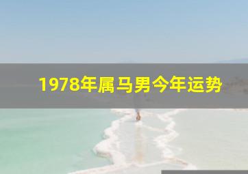 1978年属马男今年运势