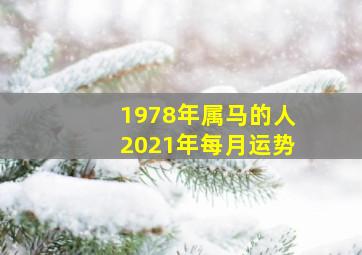 1978年属马的人2021年每月运势