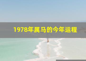 1978年属马的今年运程