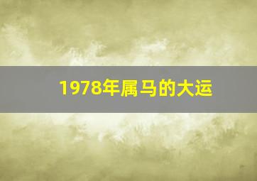 1978年属马的大运