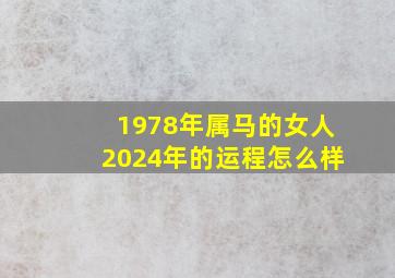 1978年属马的女人2024年的运程怎么样