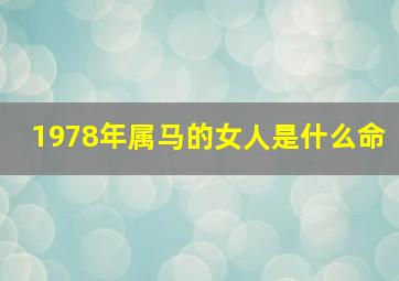 1978年属马的女人是什么命