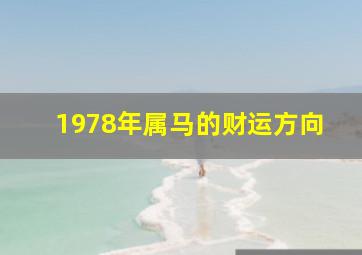 1978年属马的财运方向