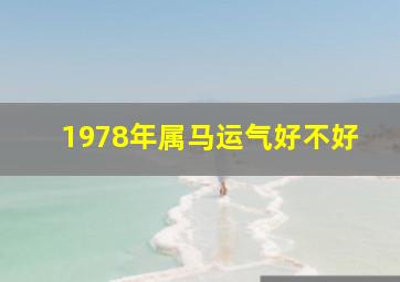 1978年属马运气好不好