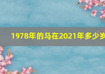 1978年的马在2021年多少岁